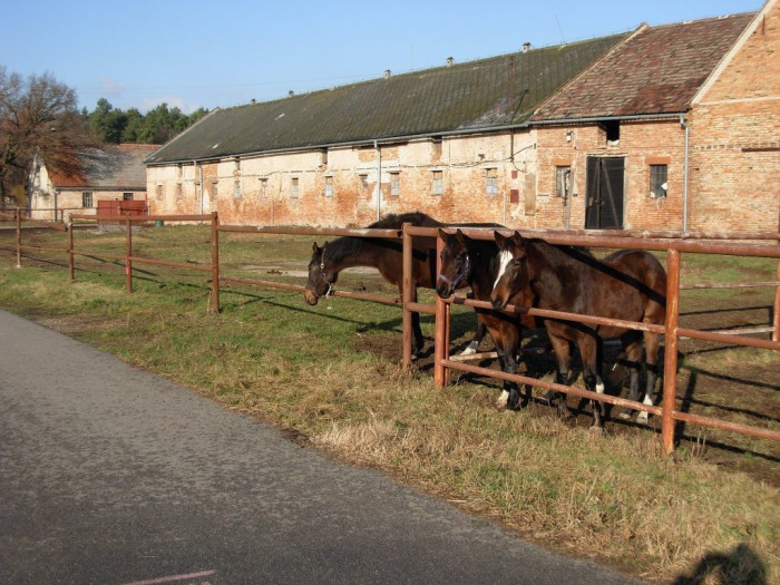 Salaš a hřebčín Rúdník 7