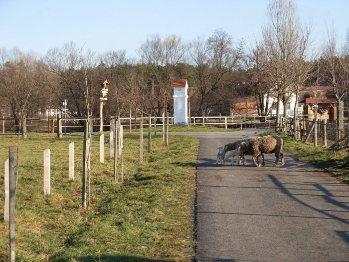 Salaš a hřebčín Rúdník 9